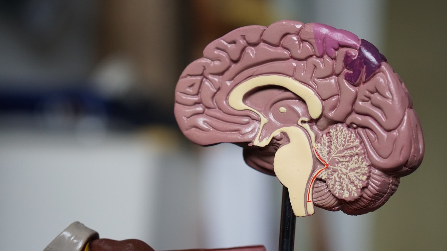 How Cognitive Skills Impact Everyday Decision-Making